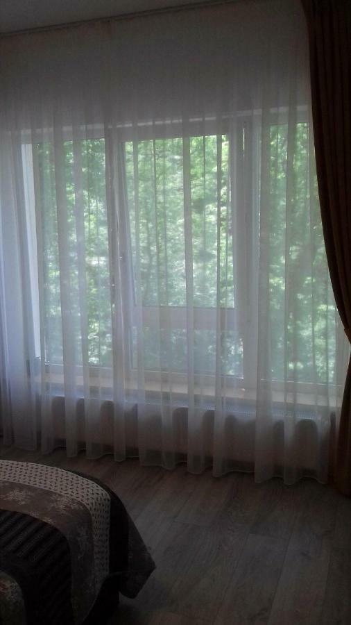 Apartament Ramona Lejlighed Braşov Eksteriør billede