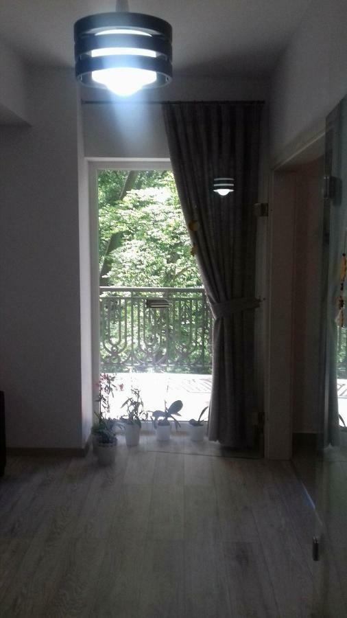 Apartament Ramona Lejlighed Braşov Eksteriør billede